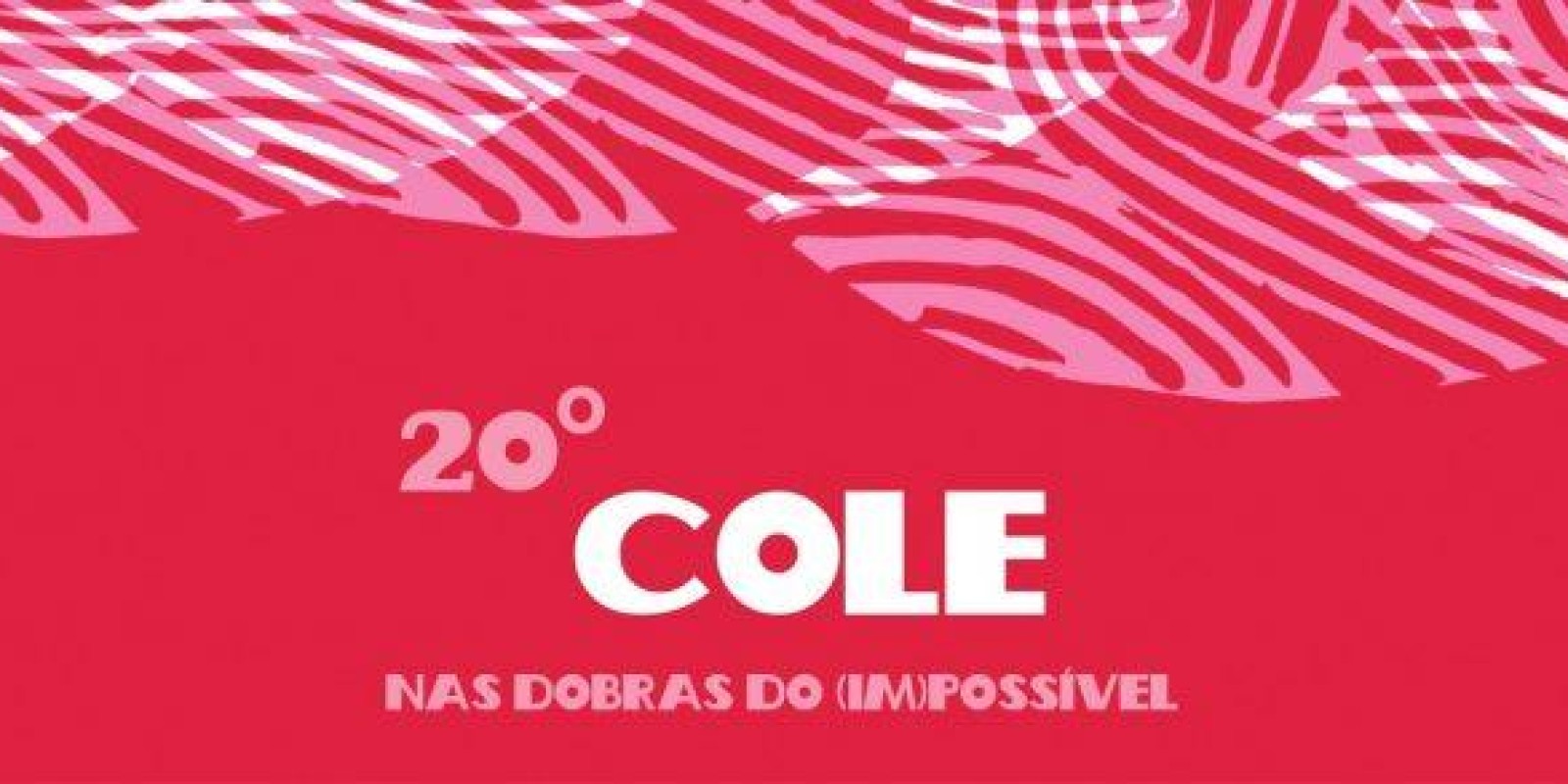 Professoras do Unec e Jairo Grossi participam de congresso na Unicamp