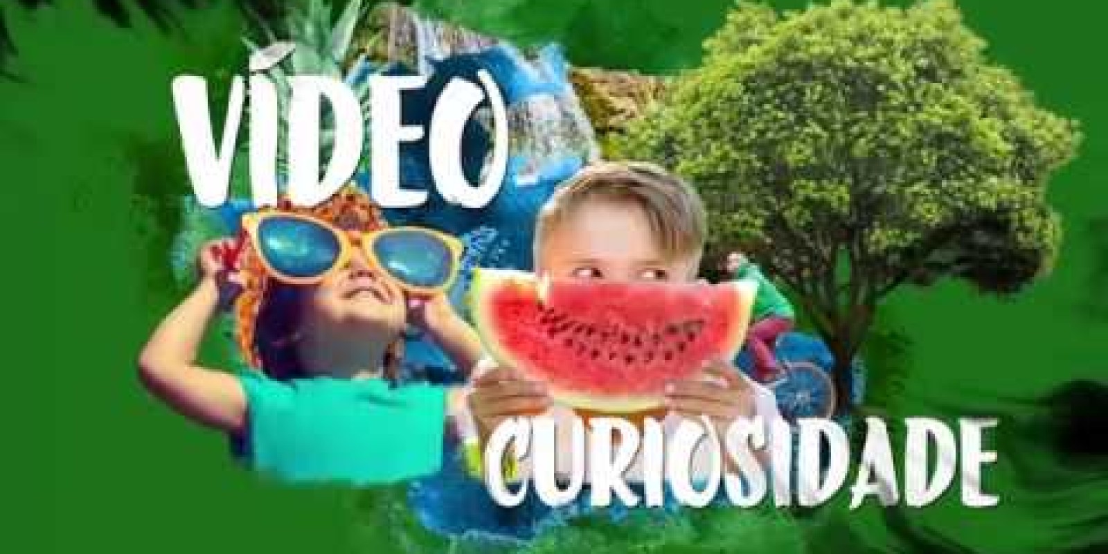 Vídeo Curiosidade – Barefoot College