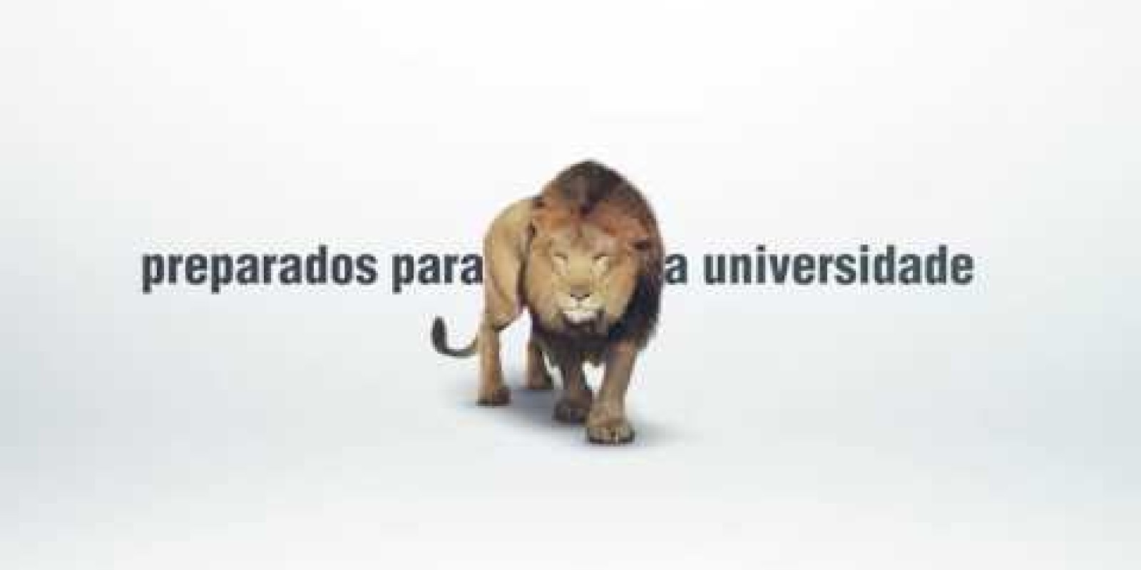 Ensino com resultado