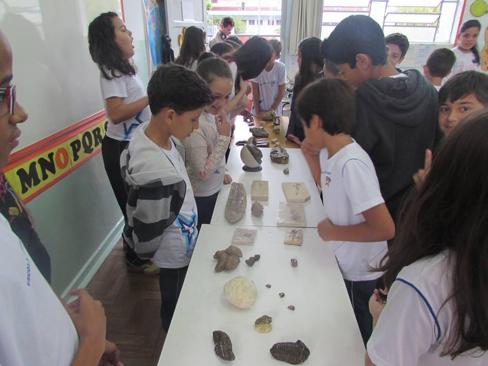 Fósseis que contam história de seres vivos são apresentados a estudantes de ensino fundamental